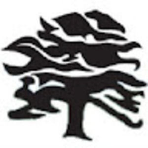 Meet your Posher, Sue beth